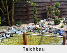 Teichbau